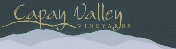 capsy valley for sale